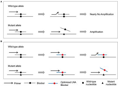 PEAC: An Ultrasensitive and Cost-Effective MRD Detection System in Non-small Cell Lung Cancer Using Plasma Specimen